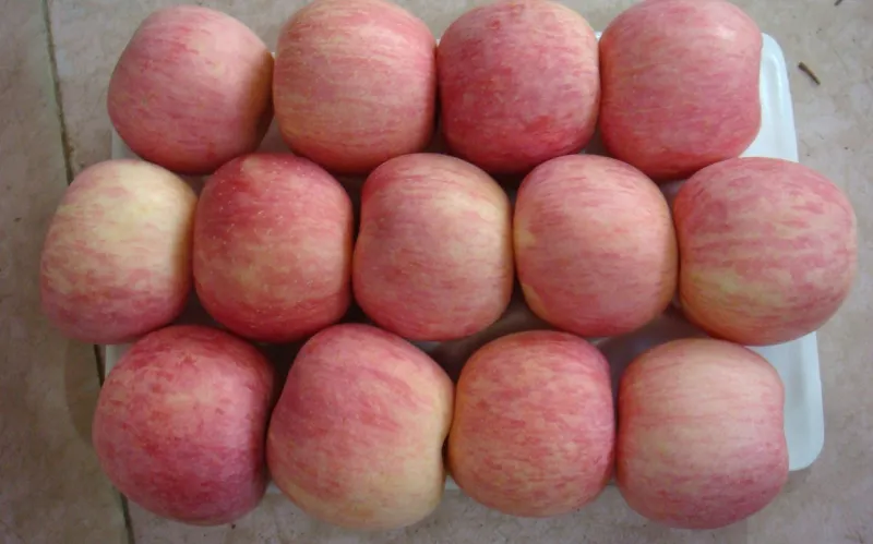 Fresh Apples Wholesale